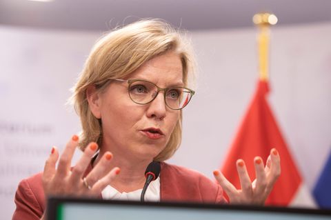 Regierungskrise Ministerin Gewessler im Porträt