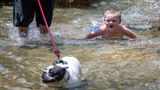 Auf der anderen Seite der USA sind Menschen auf der Suche nach Abkühlung: Der sechsjährige James Charles Liptak und sein Hund Rumble erfrischen sich bei der drückenden Hitze mit einem Spaziergang in den Wassertreppen am PNC Park im North Shore Viertel von Pittsburgh in Massachusetts