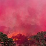 Beeindruckende Bilder: Von einem Flugzeug abgeworfenes Löschmittel fällt auf das sogenannte Aero Fire in Copperopolis, Kalifornien, und färbt den Himmel rot