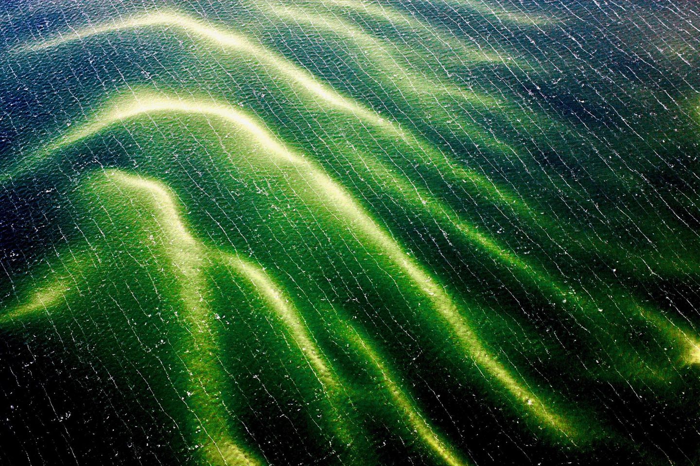 Eine Sandbank scheint grünlich durch das dunkle Wasser