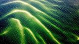 Eine Sandbank scheint grünlich durch das dunkle Wasser