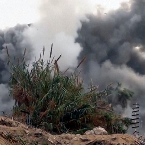 Explosion hinter grünem Gestrüpp: Durch den Krieg in Gaza wurde auch die Natur massiv geschädigt