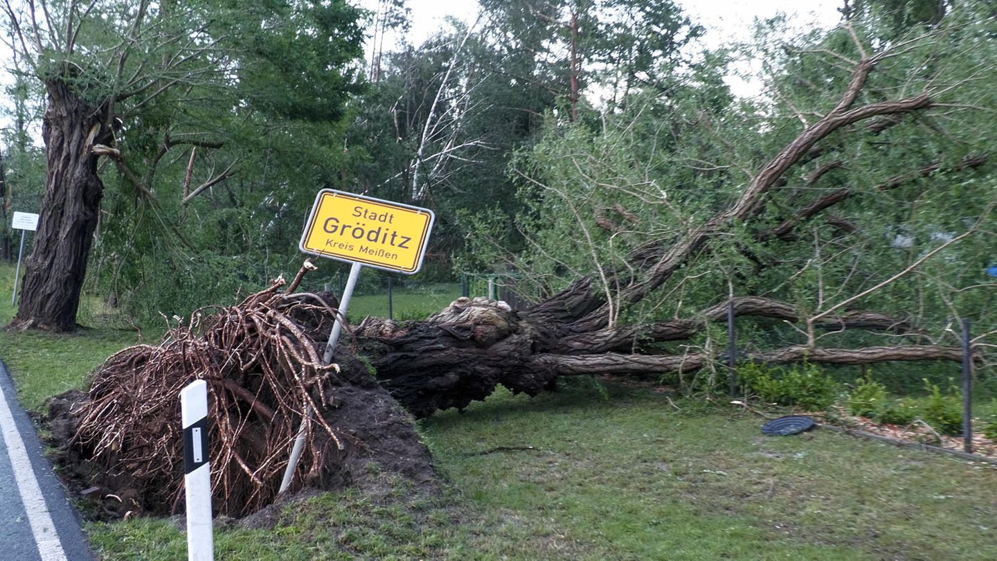 Ein Baum hat das Ortsschild von Gröditz umgerissen