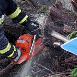 Feuerwehr zersägt umgestürzte Bäume in Gröditz
