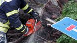 Feuerwehr zersägt umgestürzte Bäume in Gröditz