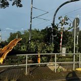 Umgestürzter Baum an einem Bahnübergang