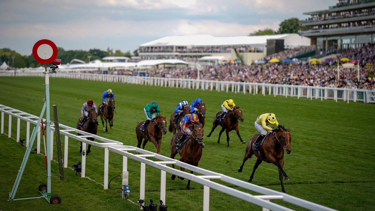 Cheltenham: winning horse collapses at the finish and dies