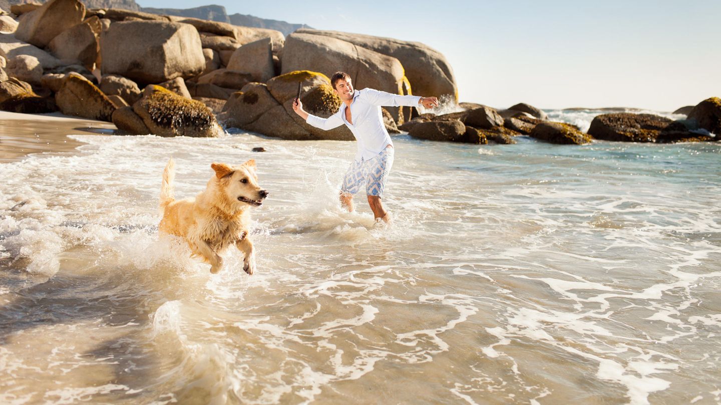 Hundefreundliche Strände in Europa – Mann mit Hund am Strand.