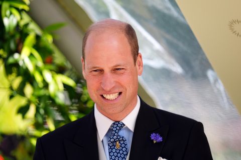 Prinz William
