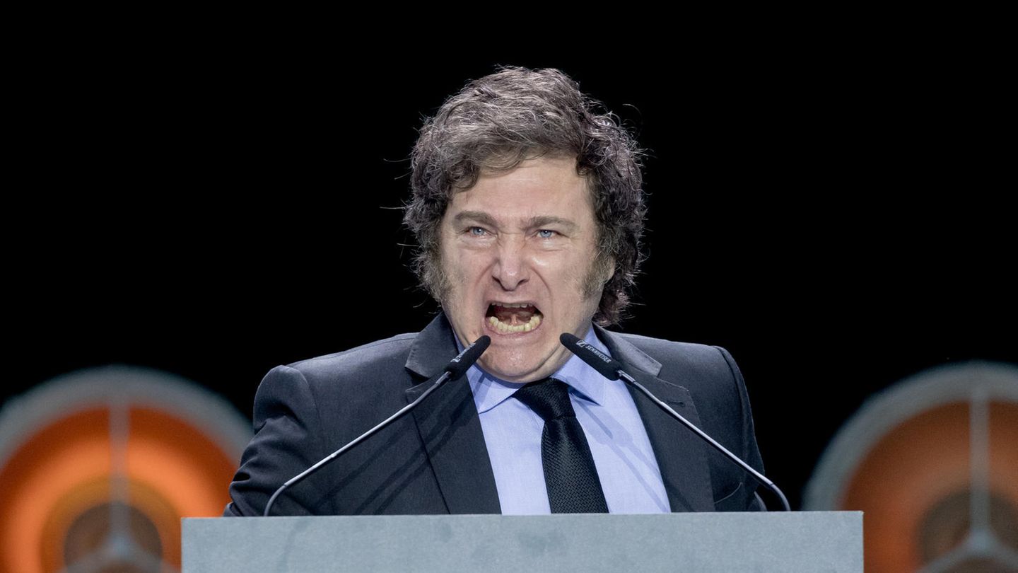 Argentina under Javier Milei: “An unparalleled experiment”