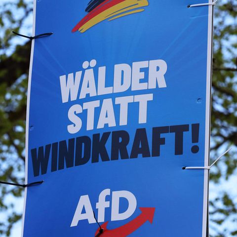 “Forests instead of wind power” is written on an AfD poster. From their point of view, climate and environmental protection probably don