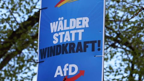 "Wälder statt Windkraft" steht auf einem Plakat der AfD. Aus ihrer Sicht passen Klima- und Umweltschutz wohl nicht zusammen