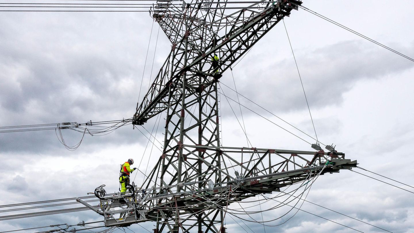 Veto on the purchase of the electricity network: The dire consequences of the FDP’s maneuver