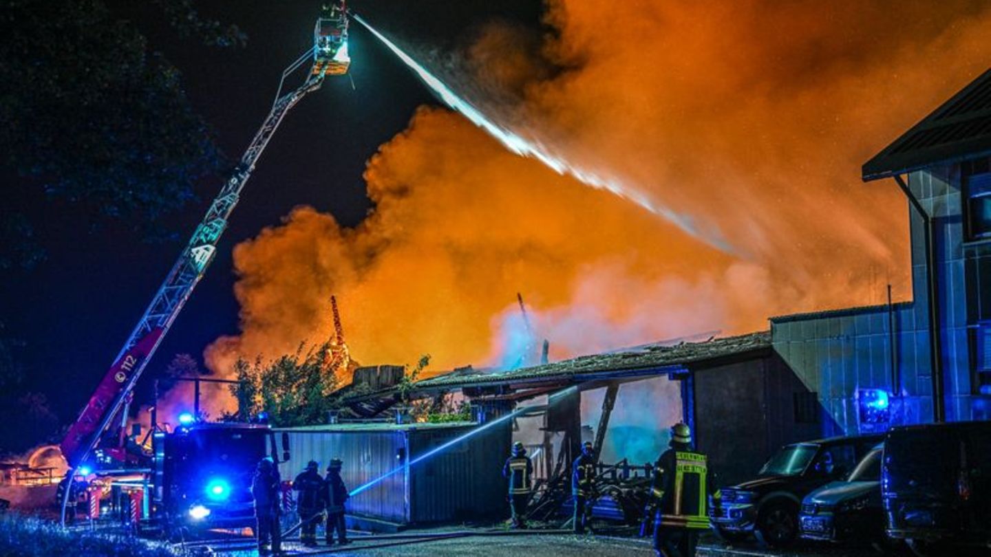 Landkreis Heidenheim: Mehrere Millionen Euro Schaden bei Brand von Holz-Betrieb