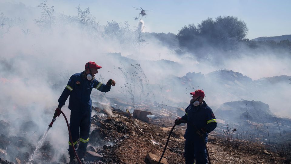 In Koropi, einem Vorort von Athen, versuchen Feuerwehrleute schwelende Flammen unter Kontrolle zu brinegen