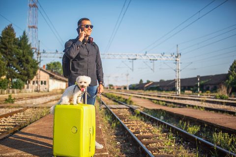 Bahnreise mit Hund: Mann steht mit Koffer und kleinem Hund an einem Bahnsteig.