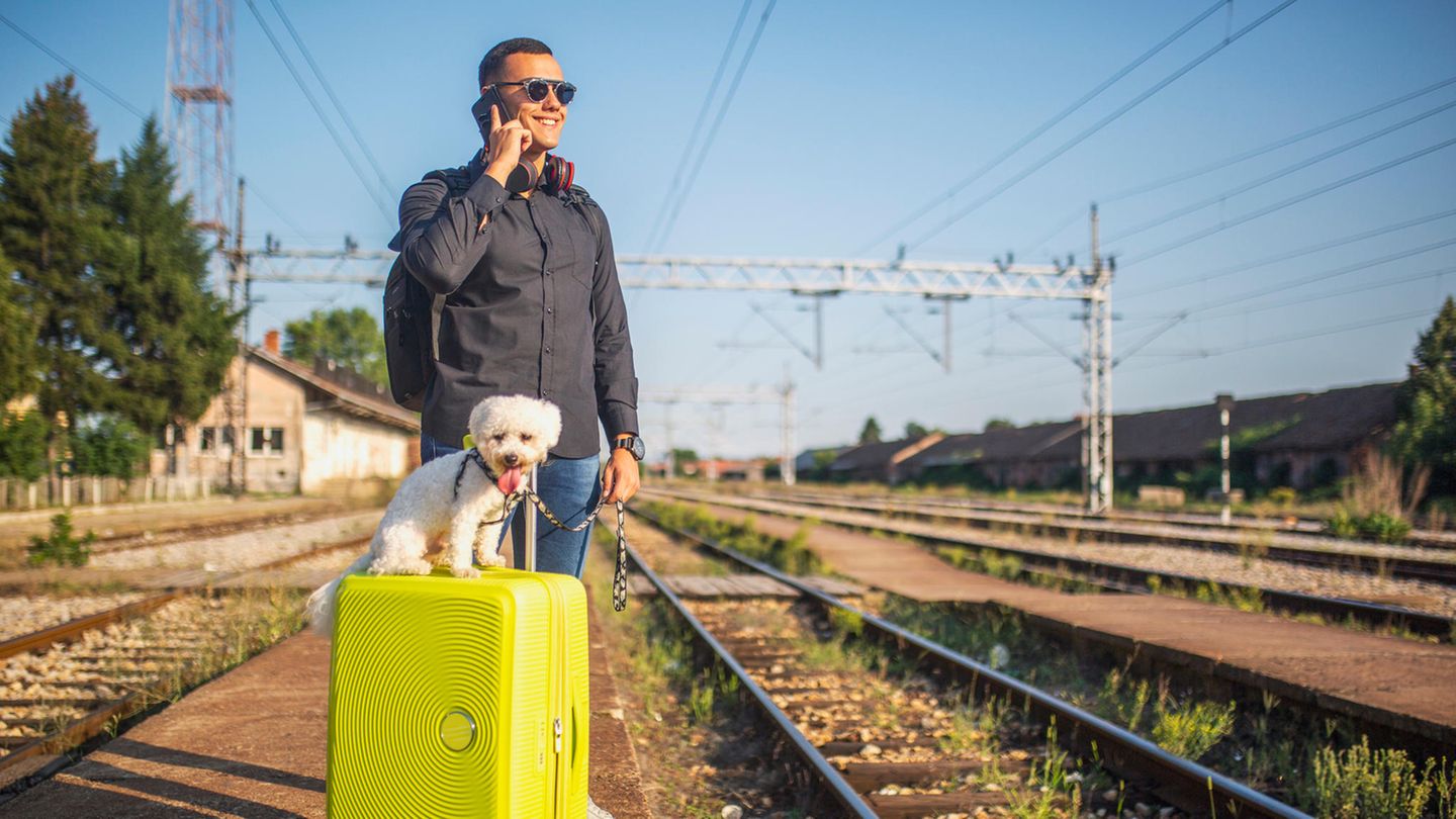 Stressfrei von A nach B: Bahnreise mit Hund: Die besten Tipps für die Fahrt
