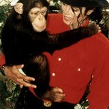 Und sein Image wurde immer skurriler: Er hielt sich etwa einen Schimpansen als Haustier, machte mit Schönheits-OPs Schlagzeilen und baute einen Vergnügungspark auf sein Privatanwesen in Kalifornien. Dieses nannte er die Neverland Ranch - nach der Geschichte von Peter Pan, dem Jungen, der nie erwachsen wird. Und dorthin ...