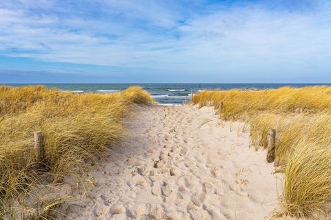 Urlaub: Ein Weg zum Strand