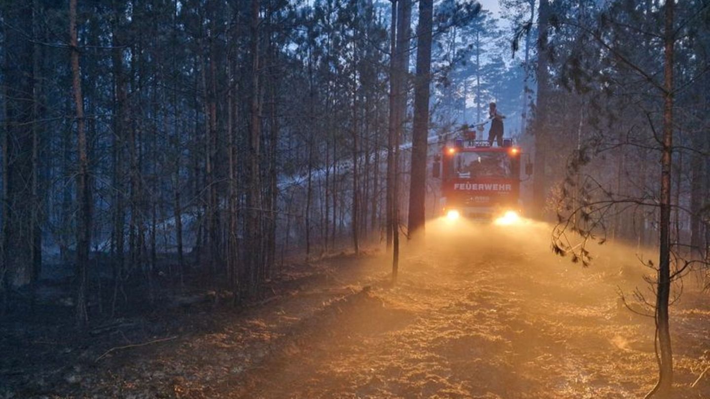 Wetter: Experte: Brandenburg bisher glimpflich durch Waldbrandsaison