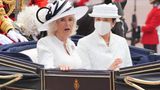 ... ging es per Kutschfahrt zum Buckingham Palast zum Mittagessen. Wie die britische Presse schreibt, leidet Kaiserin Masako an einer Pferdehaar-Allergie und trug deshalb für die Strecke einen weißen Mundschutz.
