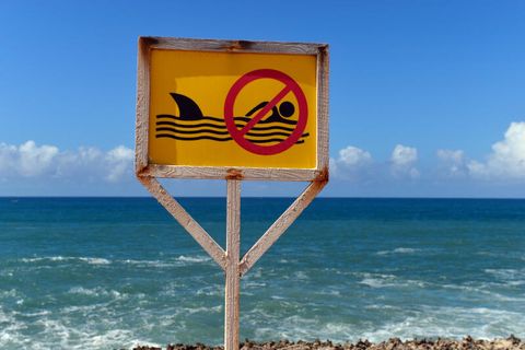 Hai-Alarm auf Gran Canaria
