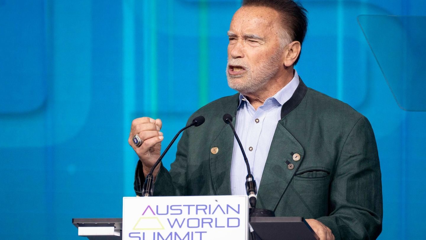 Energiewende: Terminator vs. Deutschland: Hoit besser di Goschn, Arnie!