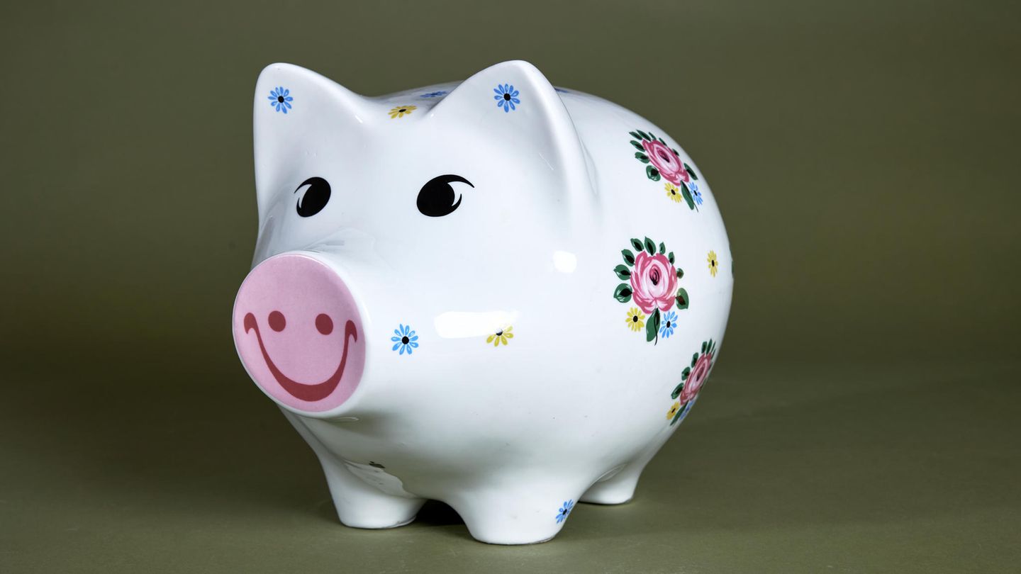 Ein mit Blumen verziertes Sparschwein von Hans Eichel