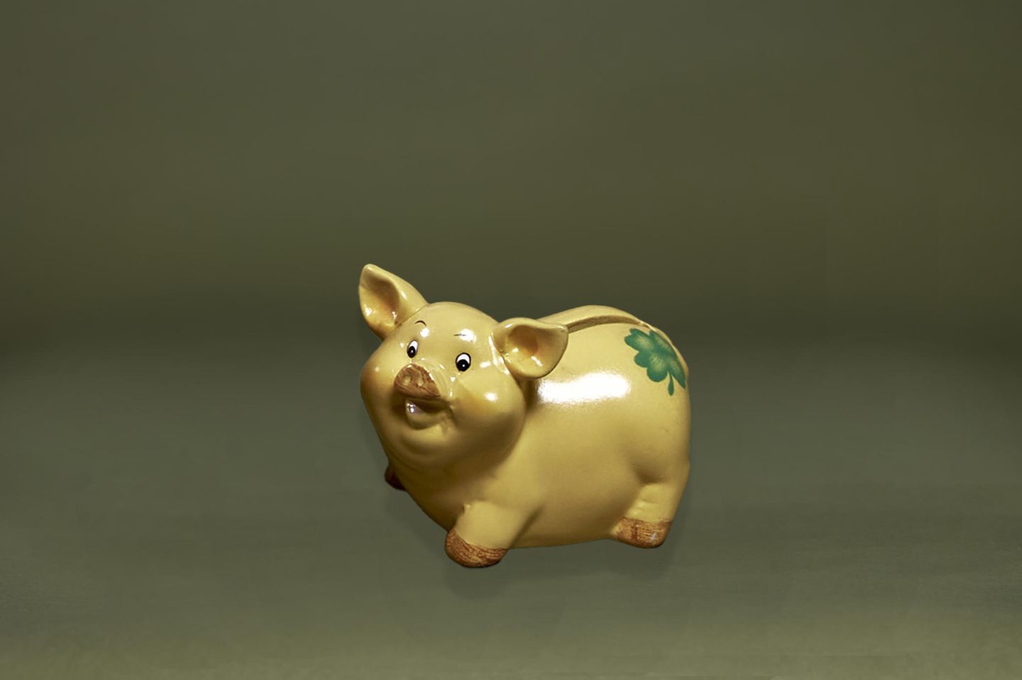 Ein wohl genährtes Sparschwein von Hans Eichel