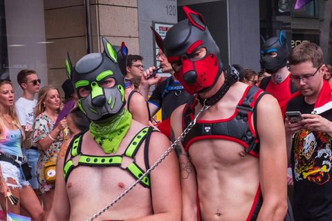 Zwei Männer tragen Hundemasken in der Öffentlichkeit – das Phänomen heißt Puppy Play