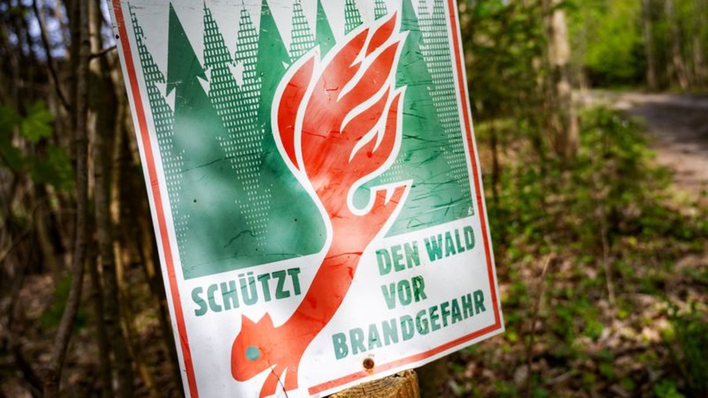 Natur: Waldbrandgefahr steigt in Sachsen