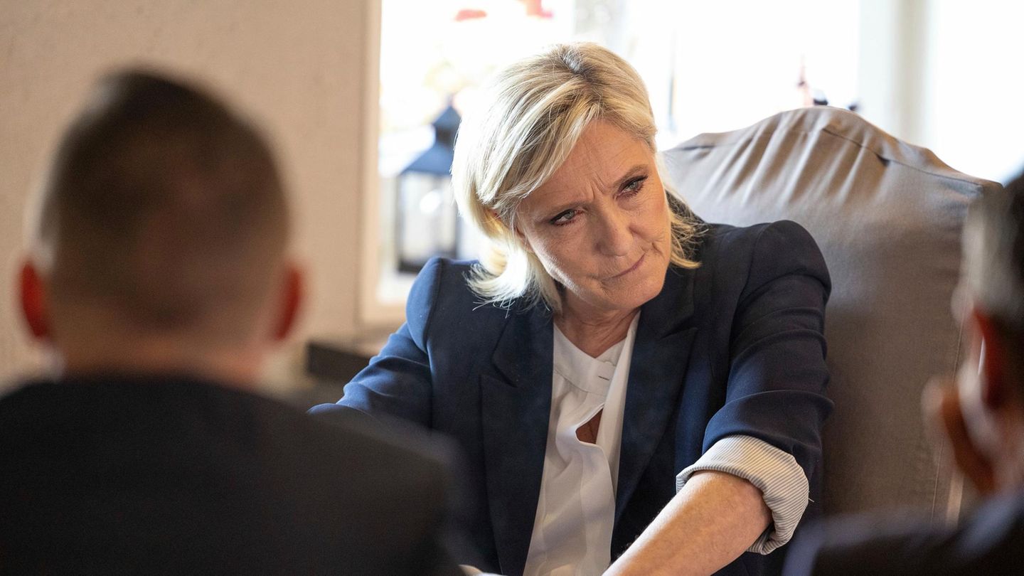 Parlamentswahlen: Muss die AfD nur mehr Marine Le Pen wagen, um an die Macht zu kommen?
