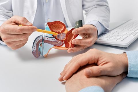 Symboldbild: Arzt zeigt auf medizinisches Modell einer Prostata