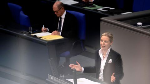 Spannungsfeld Vereinsareit: Brief an den Kanzler, unter Druck von der AfD