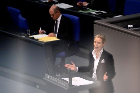 Spannungsfeld Vereinsareit: Brief an den Kanzler, unter Druck von der AfD