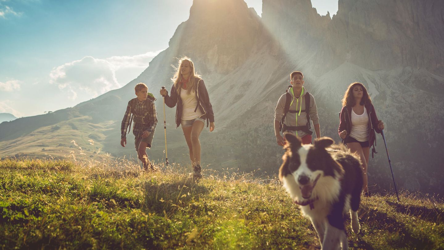 Erholung garantiert: Urlaub mit Hund: Drei Reiseziele, die Vierbeiner willkommen heißen