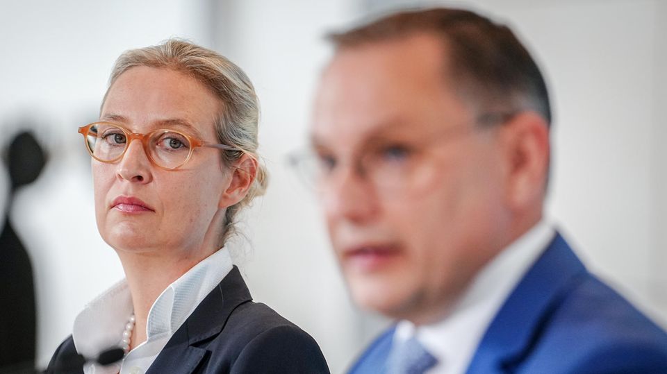 Weidel Contra Chrupalla Afd Streit Über Putin Eskaliert Live Auf Offener Bühne - hlvidyf