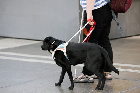 Frau mit Blindenhund am Bahnhof