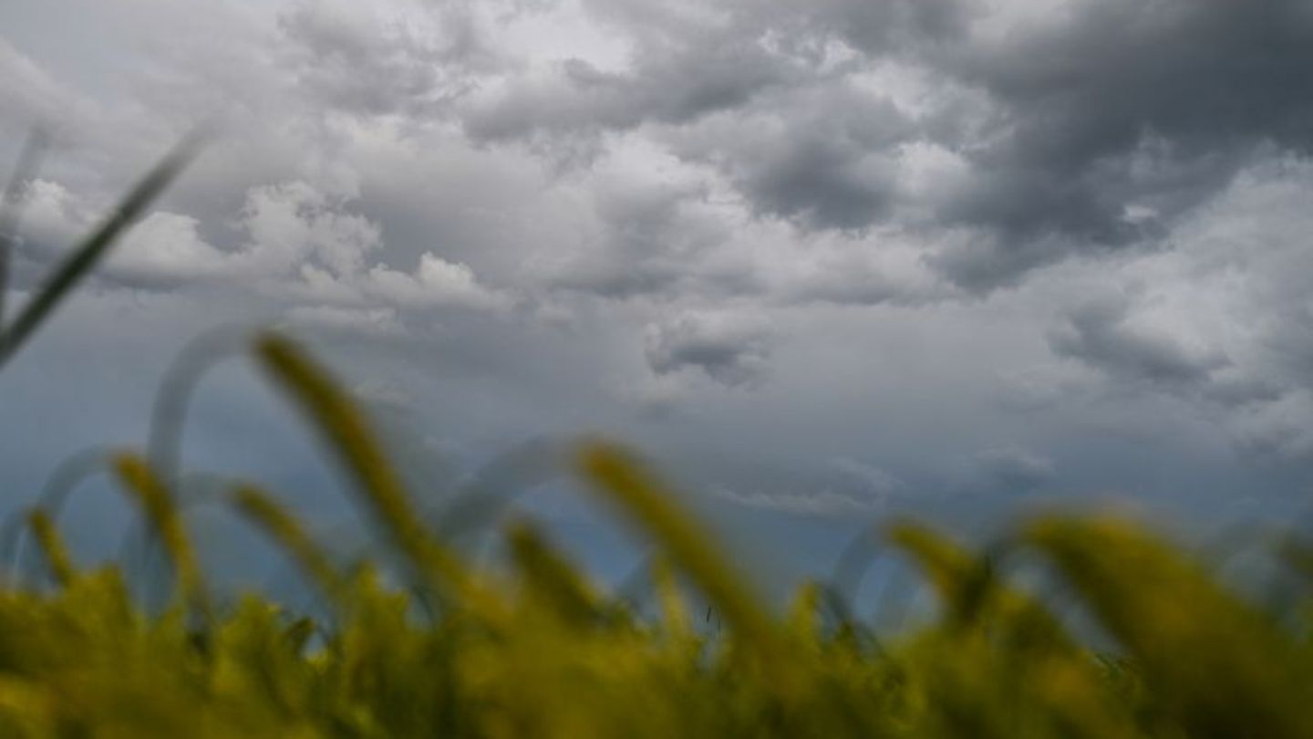 Wetter: Baden-Württemberg: Viele Wolken, schwacher Regen