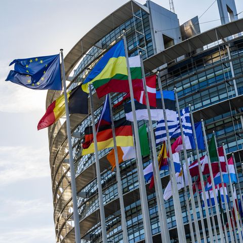Die Flaggen der EU-Staaten und der Ukraine wehen vor dem Gebäude des Europäischen Parlaments in Straßburg