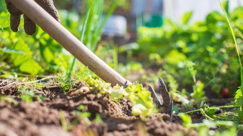 Gartendeals: Boden wird mit einer Hacke bearbeitet