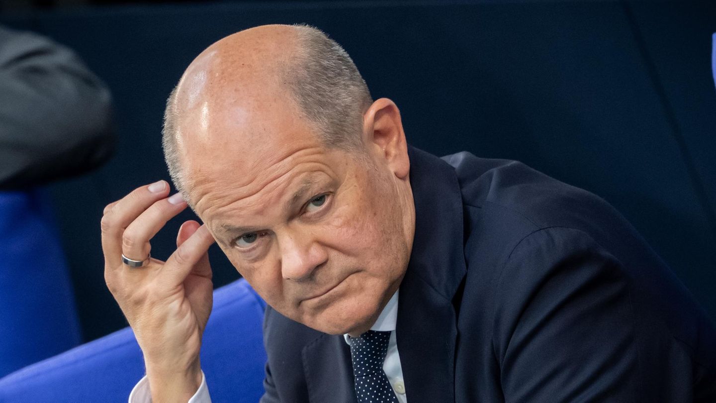 Immunität Olaf Scholz