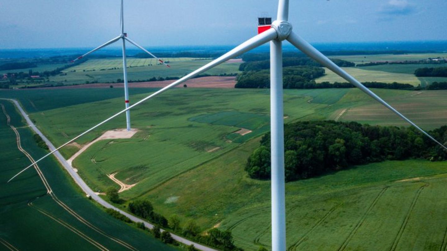Erneuerbare Energien: Rekord bei Windkraft-Ausschreibung