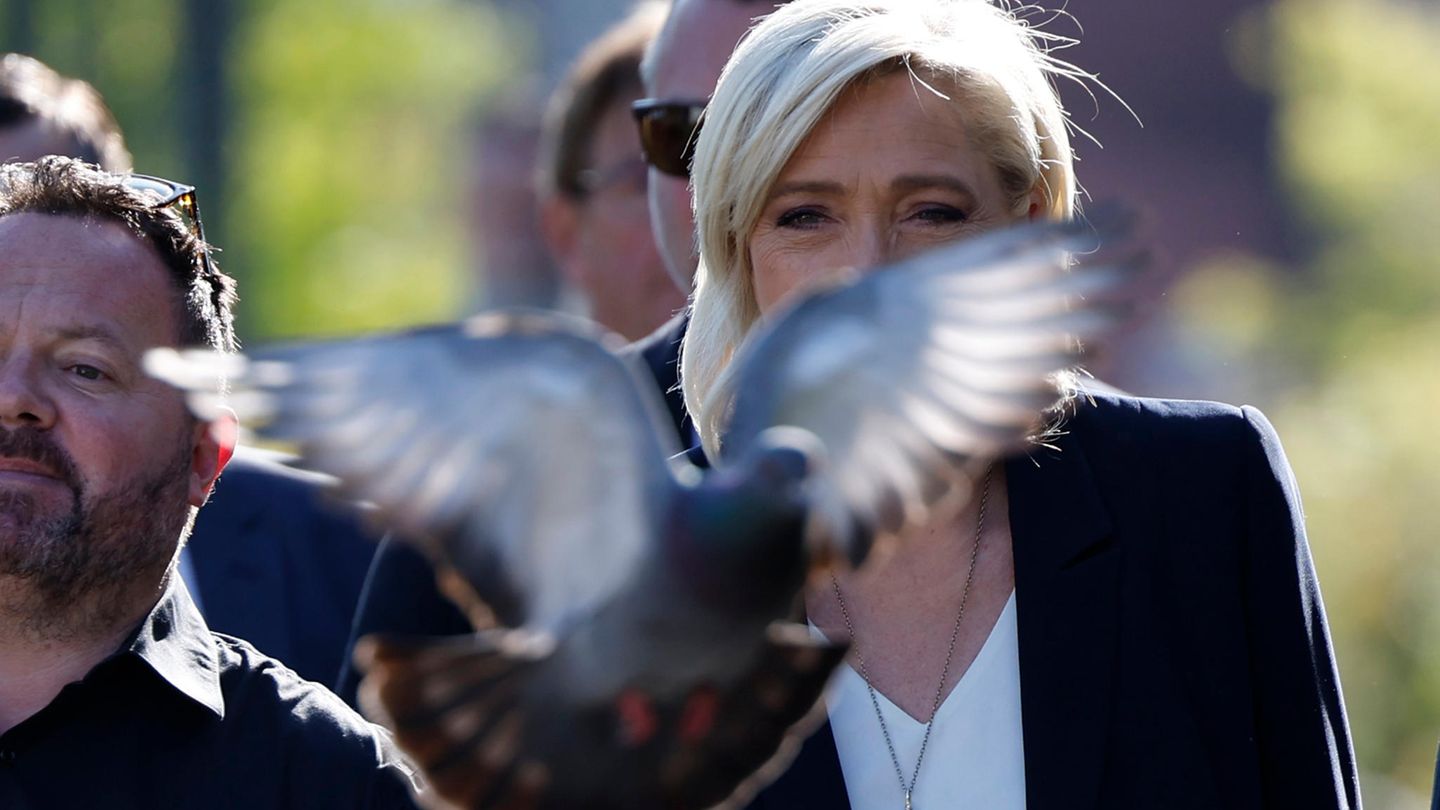 Die Partei von Marine Le Pen könnte bei den Parlamentswahlen in Frankreich die absolute Mehrheit erlangen