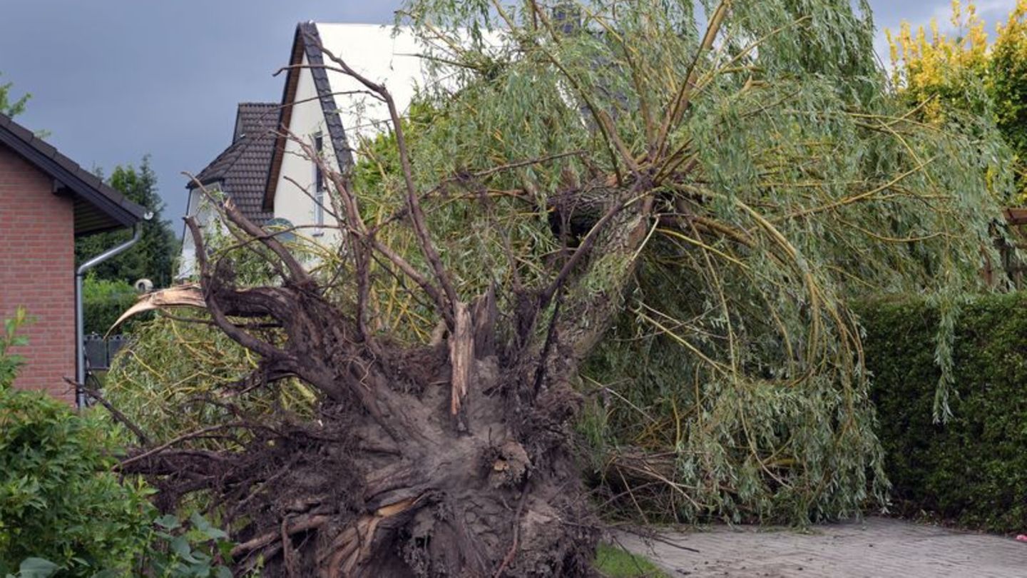 Nach Unwetter: Experten bestätigen Tornado in Cottbus
