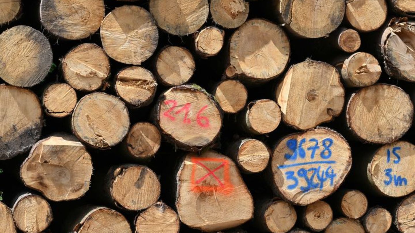 Nachhaltige Energiespeicher: Forscher wollen aus Holzabfall Batterie-Materialien gewinnen