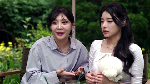 Südkorea: Homosexuelle Paare leiden unter der Gesetzen zur Ehe