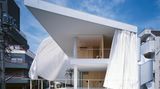 Curtain Wall House