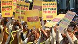 Wurst-Aktivisten fordern "Freiheit für die Hunde", "Freiheit für die Brötchen"