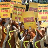 Wurst-Aktivisten fordern "Freiheit für die Hunde", "Freiheit für die Brötchen"